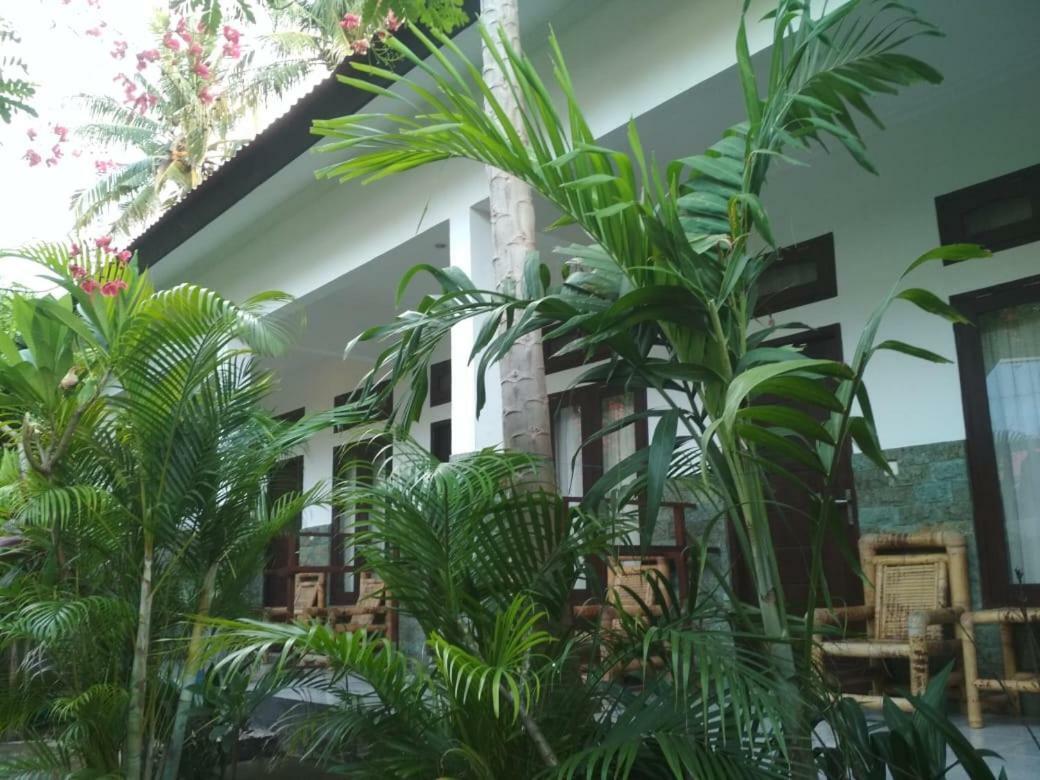 Almaida II Gili Trawangan Bed & Breakfast エクステリア 写真